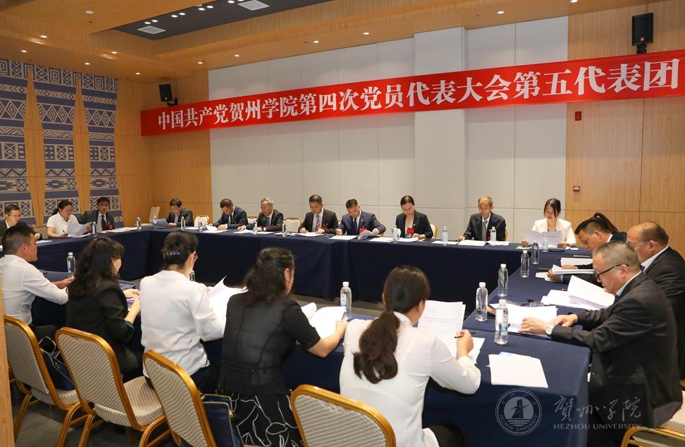 大会第五代表团召开会议