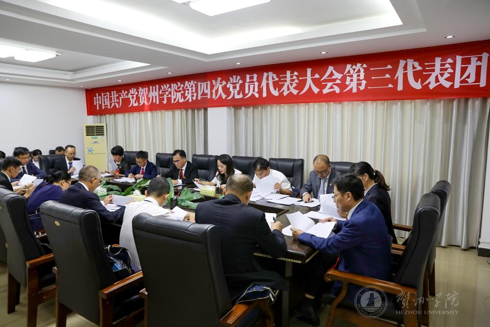 大会第三代表团召开会议